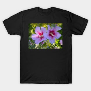 Hibiscus T-Shirt